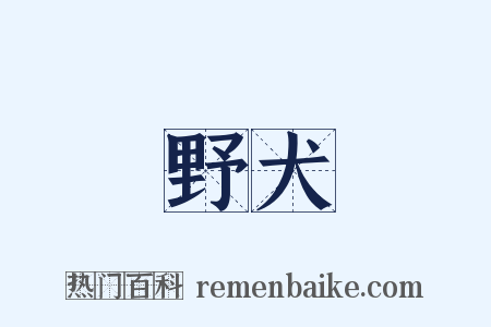 野犬是什么意思的图片